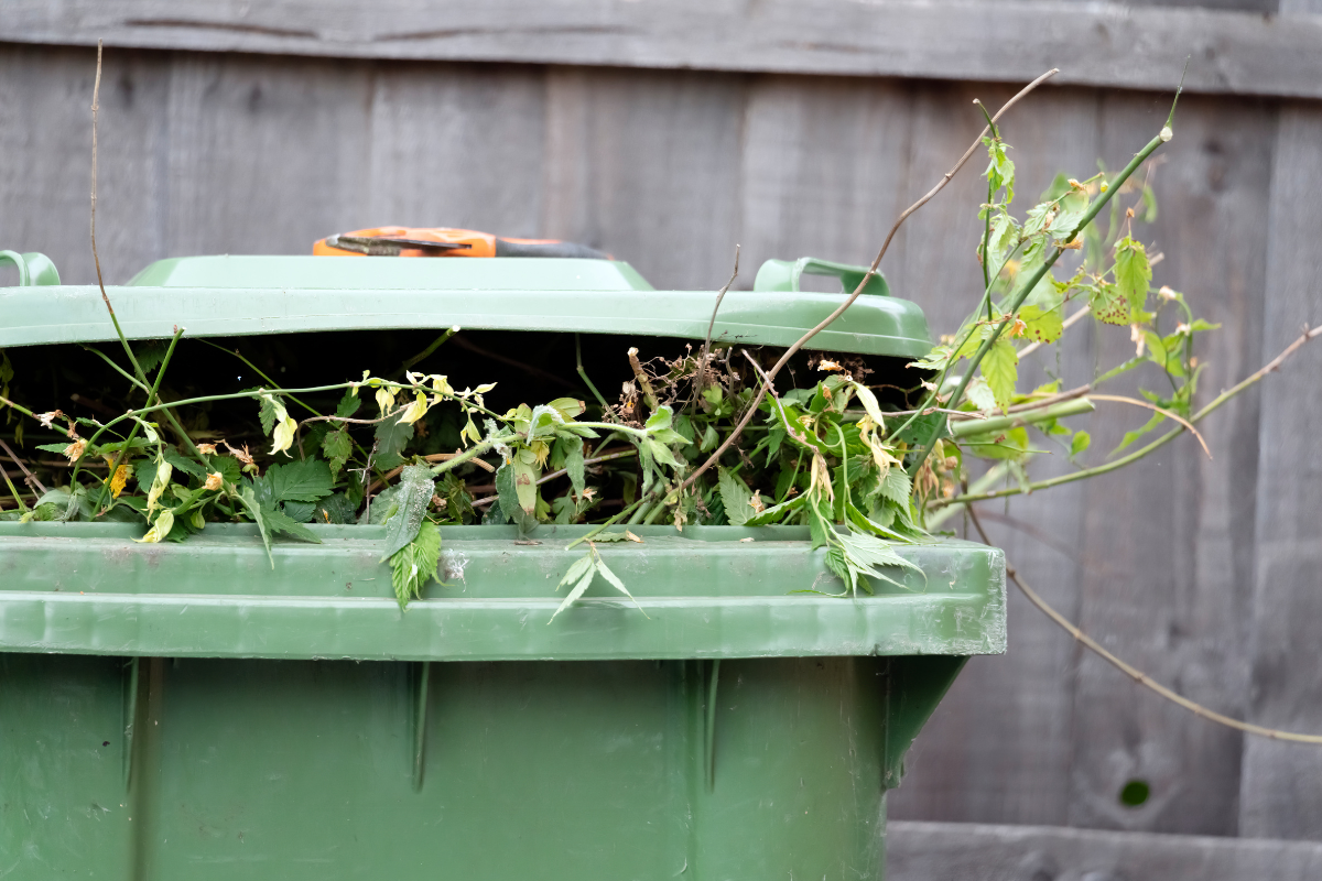 Bekijk de afbeelding in een volledig scherm